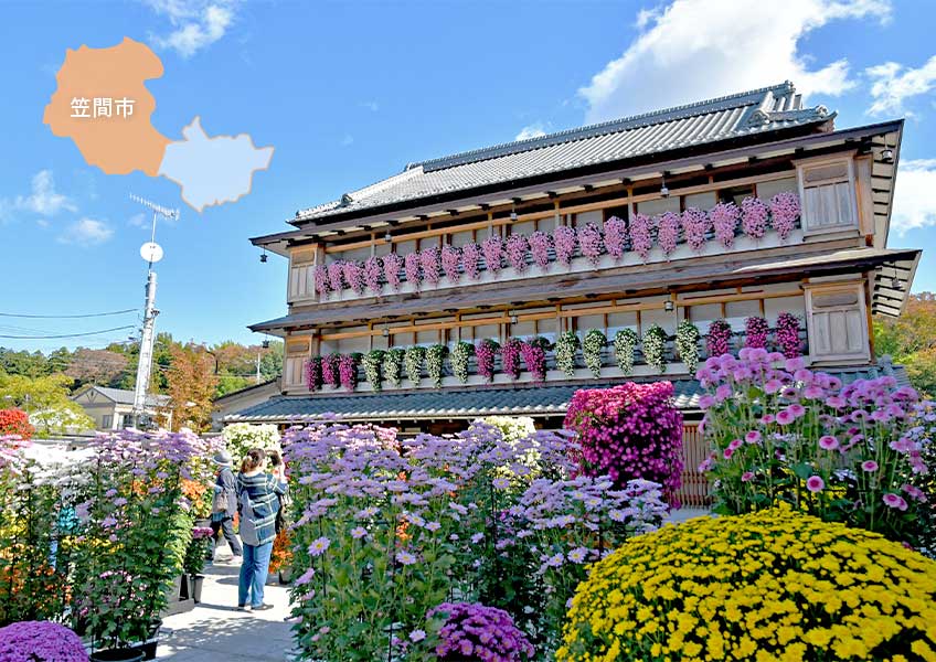 笠間菊まつりのかさま歴史交流館